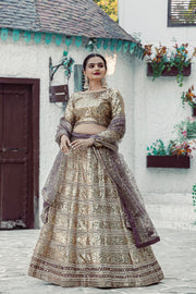 Party Wear Designer Lehenga Choli With Sequence Work