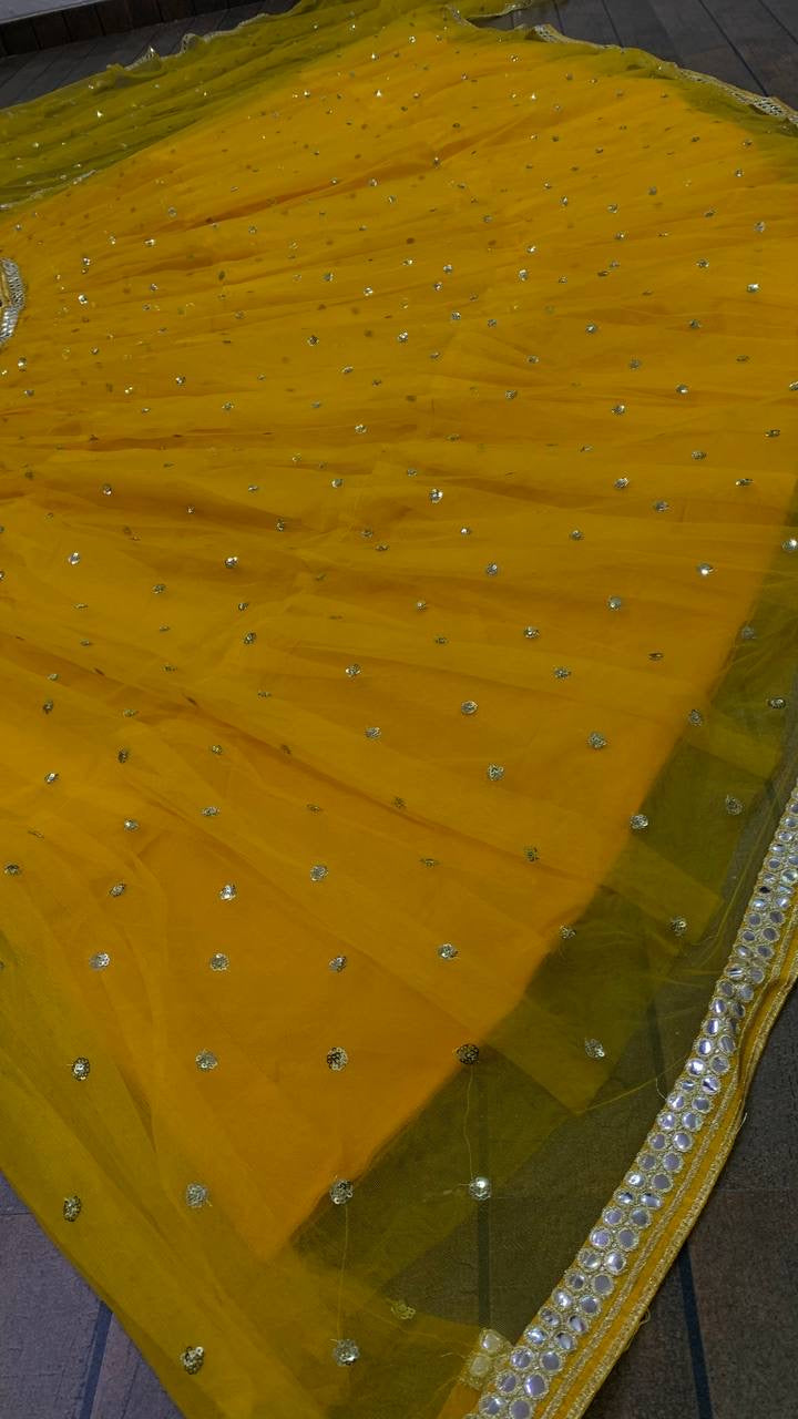 Party Wear Lehenga Choli With Sequence & Paper Mirror Work