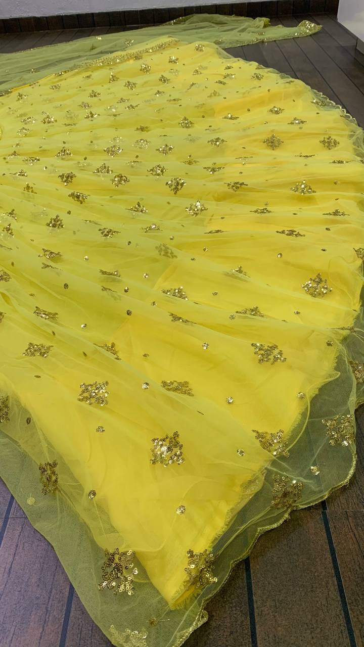 Party Wear Beautiful Lehenga Choli With Sequence & Zari Work