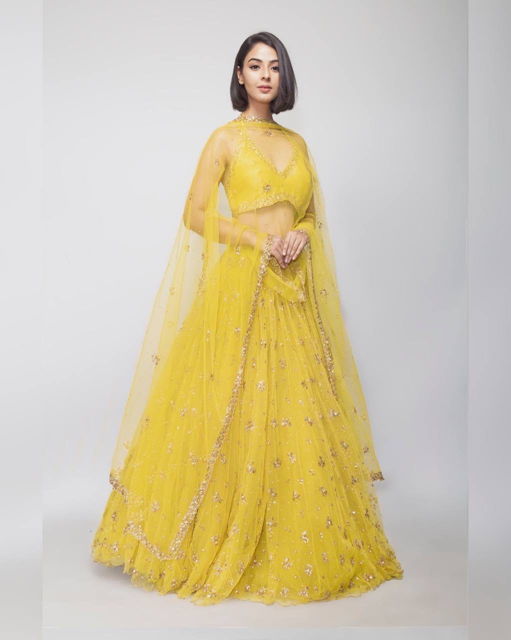 Party Wear Beautiful Lehenga Choli With Sequence & Zari Work