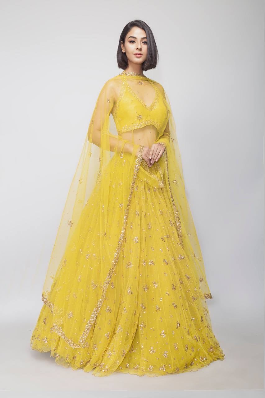 Party Wear Beautiful Lehenga Choli With Sequence & Zari Work