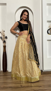 Party Wear Beautiful Lehenga Choli With Foil Border Work