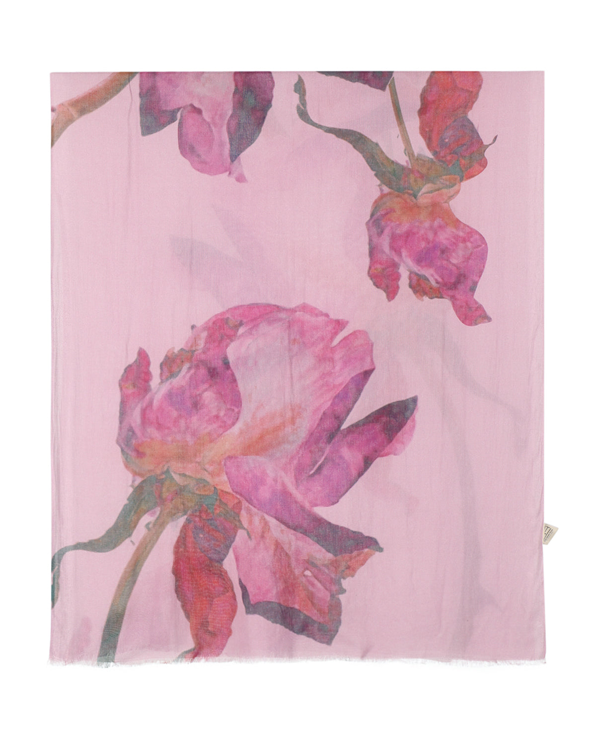 ROSE BLUSH SCARF