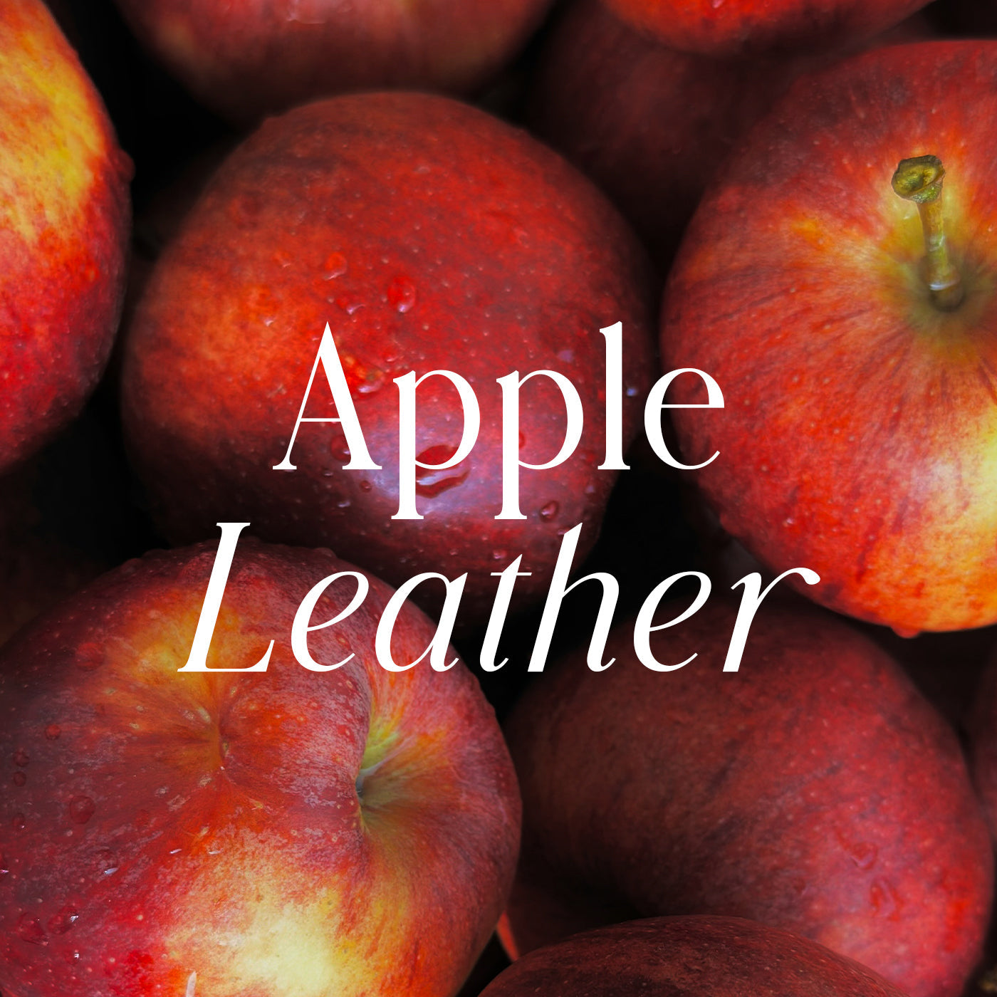 Madonna Apple Leather Tote - Olive